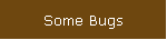 Some Bugs